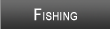 Higgins Lake Fishing